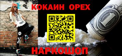 стафф Кингисепп