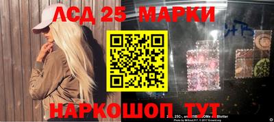 стафф Кингисепп