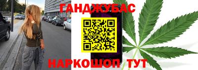 стафф Кингисепп