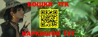 стафф Кингисепп