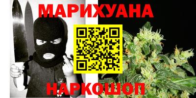 стафф Кингисепп