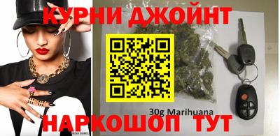 стафф Кингисепп