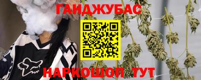 стафф Кингисепп