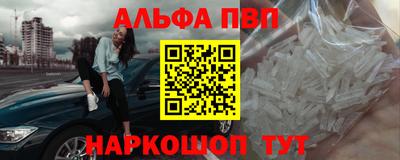 стафф Кингисепп