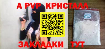 стафф Кингисепп